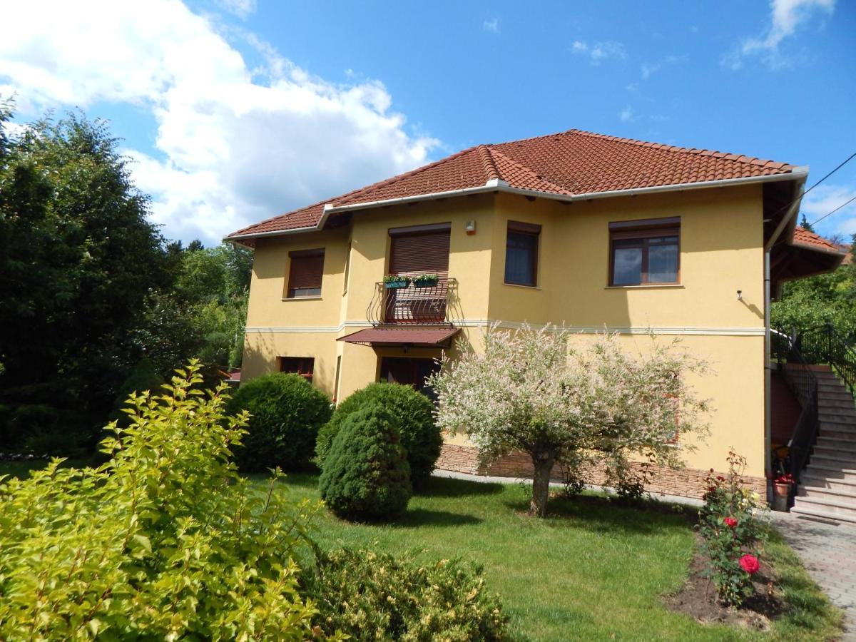 Voelgy Apartman Eger Zewnętrze zdjęcie