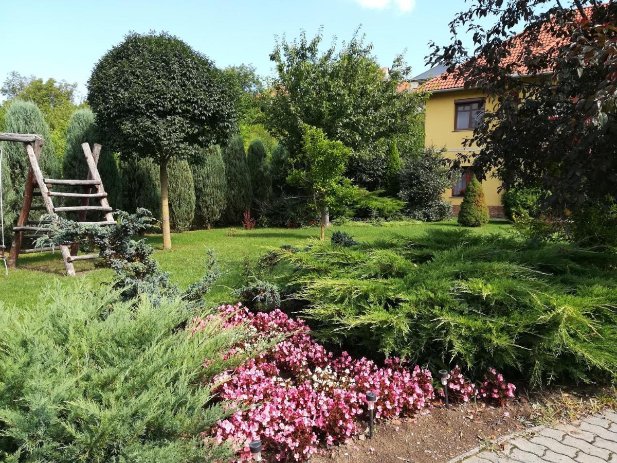 Voelgy Apartman Eger Zewnętrze zdjęcie